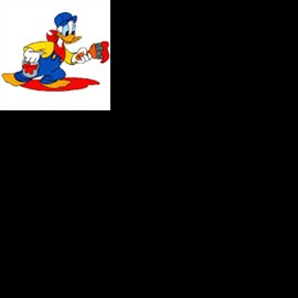 Profile picture of iwiwyd