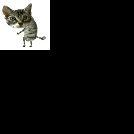 Profile picture of uzoqas