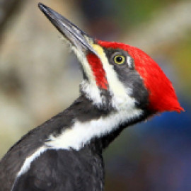 Profile photo of y.okumura@clayworks.jp