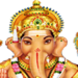Profile picture of skshastridelhi@gmail.com