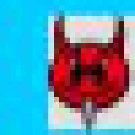 Profile photo of camsuplpy@gmail.com