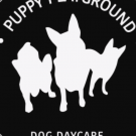 Profile picture of puppyplaygroundsydney.com.au@gmail.com