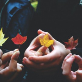 Profile picture of shyamsingh26580@gmail.com