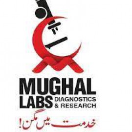 Profile picture of mughallabs4@gmail.com