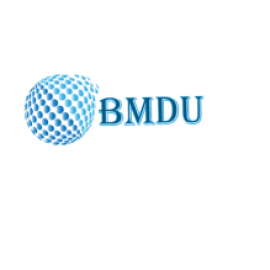 Profile picture of bmdigitalutilization03@gmail.com