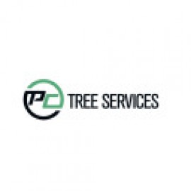 Profile photo of pc.trees004@gmail.com