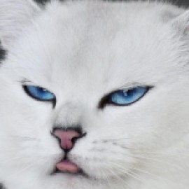 Profile picture of cpqmkgns8c@email.edu.pl
