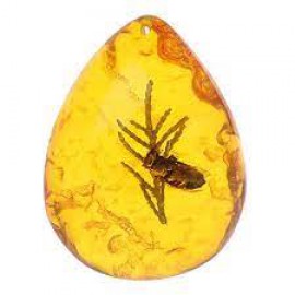 Profile picture of amberkraftsboutique@gmail.com