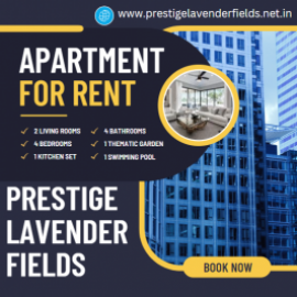 Profile photo of prestigelavenderfields7@gmail.com