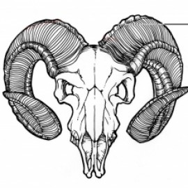 Profile photo of ram.and.hamster@gmail.com