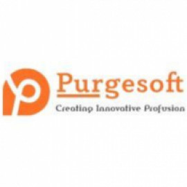 Profile picture of prashant.purgesoft@gmail.com