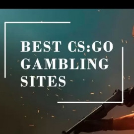 Profile photo of csgogambling102@gmail.com