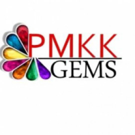 Profile picture of muskan.pmkkgems@gmail.com