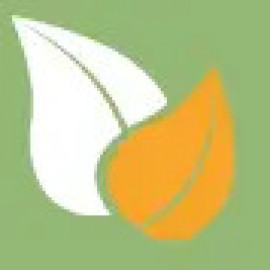 Profile photo of ecofriendlyhacks2023@gmail.com