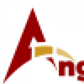 Profile picture of dm@angikatechnologies.com