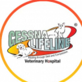 Profile picture of cessnapetstore1005@gmail.com