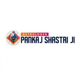 Profile photo of astrologerpankashastri@gmail.com