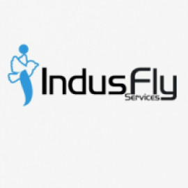 Profile picture of indusflyservice@gmail.com