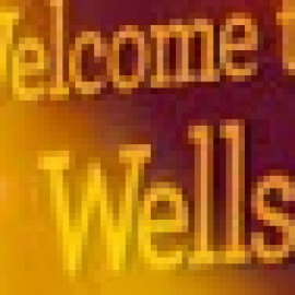 Profile picture of wellsfargohours@gmail.com