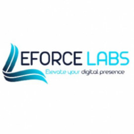 Profile picture of eforcelabs3@gmail.com