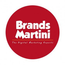 Profile picture of brandsmartini@gmail.com