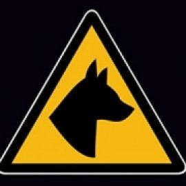 Profile picture of RF100