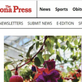 Profile photo of veronapressmuscariagummiess@blondmail.com