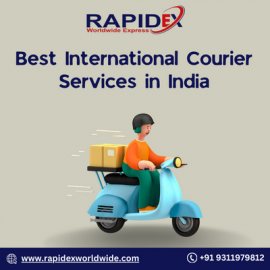 Profile picture of worldwiderapidex@gmail.com