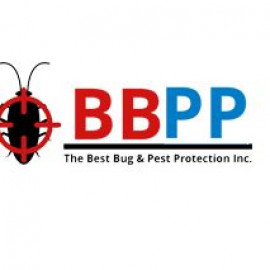 Profile picture of bbpppestcontrol2@gmail.com