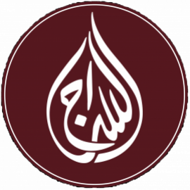 Profile photo of planalphaseo@gmail.com