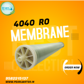 Profile picture of pearlaman488@gmail.com