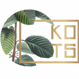 Profile picture of aritra.d@kots.world