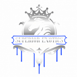 Profile picture of superiorexotic24@gmail.com