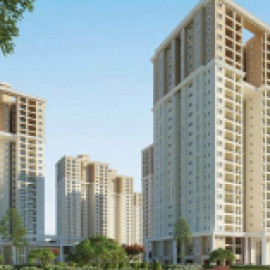 Profile photo of pgardeniaestate@gmail.com