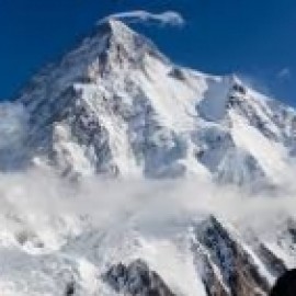 Profile picture of Daniel Scher