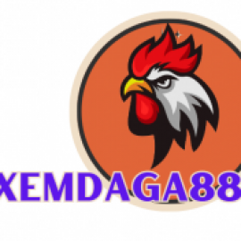 Profile picture of xemdagatructiep88@gmail.com