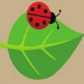 Profile picture of website@cskidsdds.com