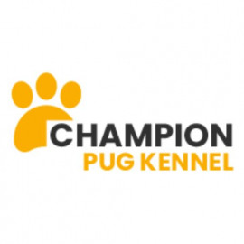 Profile photo of championpugpuppies@gmail.com