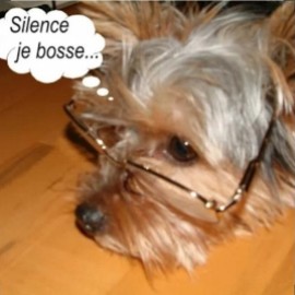 Profile picture of papyeric59