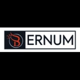 Profile picture of bernum.ca1998@gmail.com