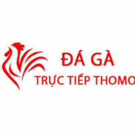 Profile picture of damya0367032@gmail.com