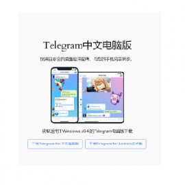 Profile photo of telegramemcom@gmail.com