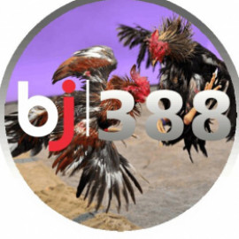 Profile picture of bj388.store@gmail.com