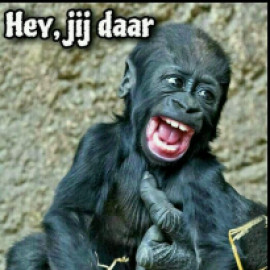 Profile photo of waterval@zeelandnet.nl