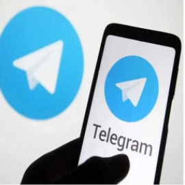 Profile photo of telegramjs1@gmail.com