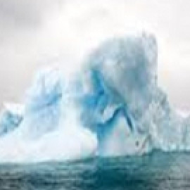 Profile picture of wilburshelton789@gmail.com