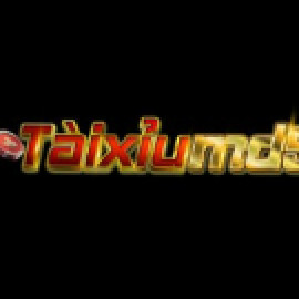 Profile photo of chinhphanminh53@gmail.com