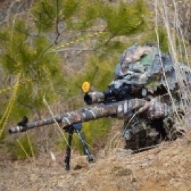 Profile picture of msk o