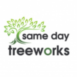 Profile photo of samedaytreework@gmail.com