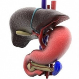 Profile picture of drsachinaroragastrosurgeon@gmail.com